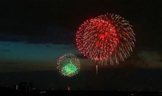 烟花的组成结构（烟花的组成结构图片）