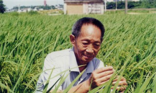 袁隆平是哪里人?什么身份?（袁隆平是哪里人?什么身价）