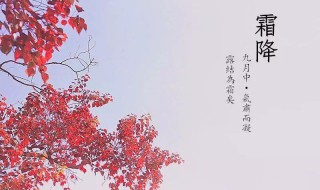 霜降节气习俗（霜降节气的到来意味着什么?）