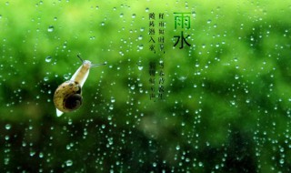 雨水节气吃什么传统食物（雨水节气吃什么最合适）