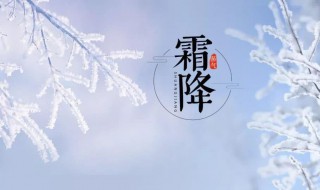 霜降节气的风俗食物 霜降节气的风俗食物有哪些