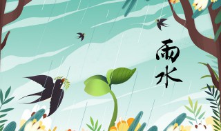 雨水节气的含义是什么（雨水节气的含义是什么呢英语）