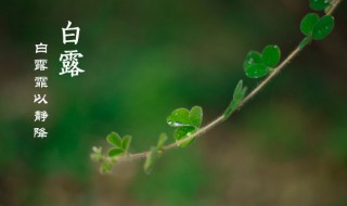 白露节气古诗词 白露节气古诗词四句