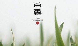 白露节气的含义（白露节气的含义是什么意思呢英语）