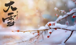 大雪节气寓意（大雪节气寓意好的诗句）