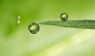 寒露节气的彦语 24节气寒露的谚语