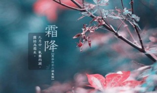 霜降节气吃什么 霜降节吃什么好