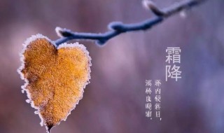 霜降节气的寓意和传统（霜降节气的含义是什么二十四节气）