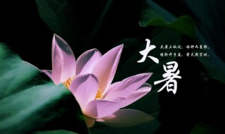 大暑节气介绍（大暑节气介绍视频）