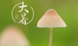 大暑节气的寓意和传统（大暑节气的意义）