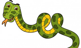 梦见绿色的蛇（梦见绿色的蛇是什么意思周公解梦）