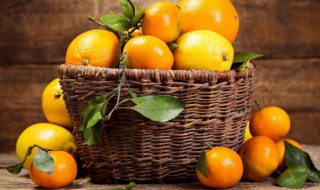 橘子种子怎么种（橘子种子怎么种植方法）