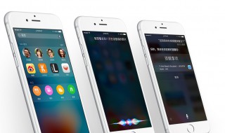 siri什么意思中文 siri什么意思中文翻译