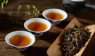 学喝茶喝什么茶好（学喝茶喝什么茶好喝）