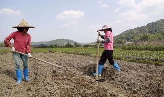 女人干活到多少岁 女人干活到多少岁最合适