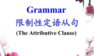 限制性定语从句 限制性定语从句例句