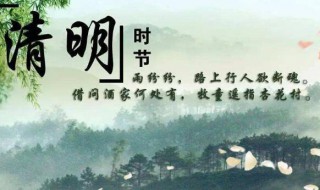 清明节晚上禁忌什么（清明节晚上禁忌什么吃）