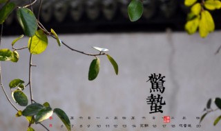 惊蛰节气有什么传统习俗 惊蛰的节气民间传说