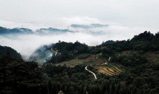 四川雅安旅游景点（四川雅安旅游景点排名）