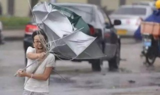 台风来了该怎么防范 台风来了如何防范