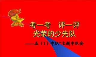 少代会感言100字 2020少代会感言100字