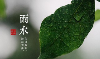 雨水节气是什么意思（雨水节气是什么意思呢）