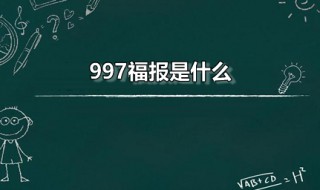 997福报是什么（福报996原话）