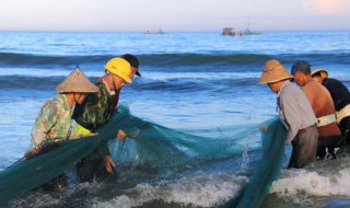 大海里面有什么（大海里面有什么海洋生物）