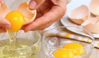 鸡蛋可以储存多久 鸡蛋可以储存多久不变质