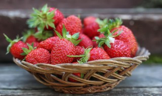 草莓发芽后怎么移栽 草莓发芽后怎么移栽最好