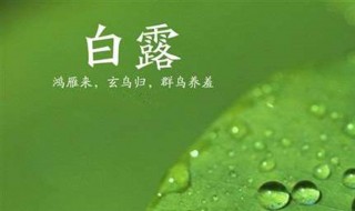 白露出生取名（白露出生的宝宝取什么小名好）