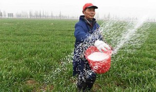 为什么农民老了没有退休（为什么农民老了没有退休金）