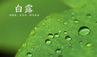 白露开始冷了吗（白露到了天气还热吗）