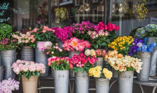 阳台如何种花最合适（阳台怎样种花）