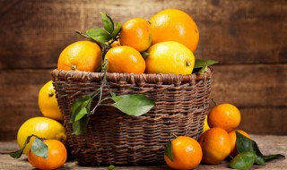 橙子的营养（橙子的营养价值及功效与禁忌）