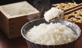 米饭里有些什么营养物质 米饭里边含有营养成分什么