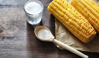 玉米豆浆汁的家常做法 玉米豆浆汁的家常做法大全