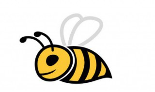 蜜蜂是什么目 蜜蜂有哪些种类