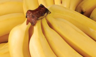 香蕉面膜的功效与作用（香蕉敷面膜的功效与作用是什么）