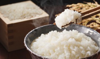 大米怎么炒好吃 猪肉炒大米怎么炒好吃