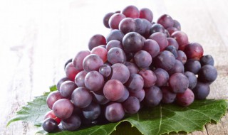 葡萄是感光水果吗 感光水果有哪些
