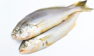 红烧鱼的简单做法 红烧鱼的简单做法和配料