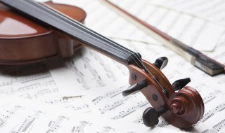小提琴用英语怎么读 小提琴用英语怎么读?