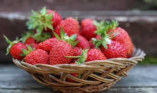 章姬草莓和红颜草莓区别 红颜和章姬哪个品种好