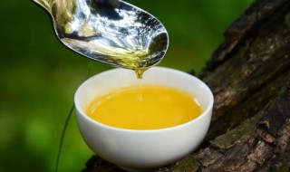 茶籽油怎么食用 茶籽油怎么食用效果好