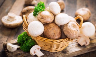 蘑菇和豆腐一起吃有毒吗 蘑菇和豆腐一起吃有毒吗能吃吗
