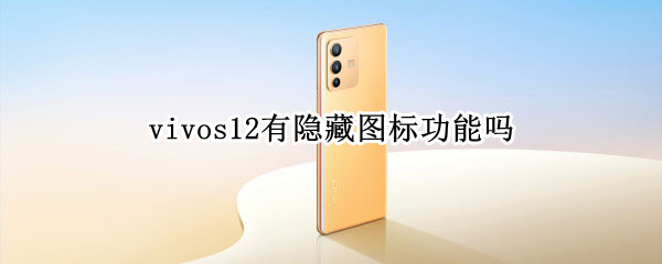 vivos12有隐藏图标功能吗（vivos10pro隐藏图标）