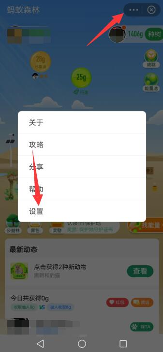 支付宝怎么开通收能量提醒