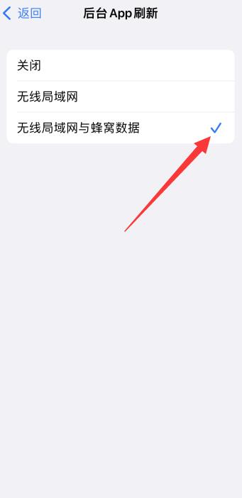 iPhone12找不到蜂窝数据选项