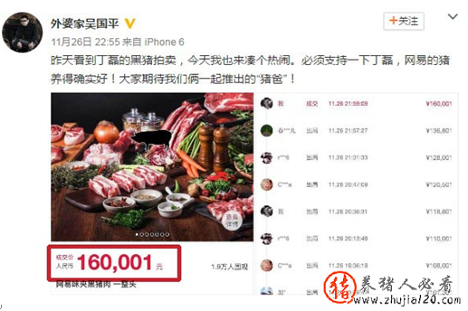 16万1头！丁磊猪再拍出高价